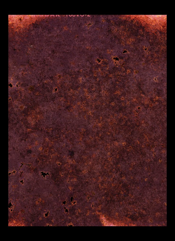 Anne Noble Observations from the Critical Zone - Two Rooms